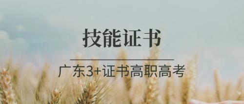 广东3+证书高职高考考试要有哪些技能证书？